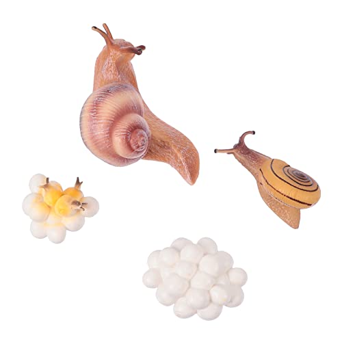 UPKOCH 1Satz Simulierte Tiermodelle Umweltfreundliches Wachstumszyklus Set Für Tierlebenszyklus Figuren Foto Requisiten Und Garten UPKOCH 1Satz Simulierte Tiermodelle Umweltfreundliches Wachstumszyklus Set Für Tierlebenszyklus Figuren Foto Requisiten Und Garten von UPKOCH