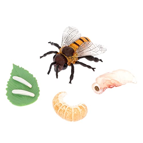 UPKOCH 1Satz Spielzeugset für Bienenwachstumszyklus Modell Kognitive Figuren für Kreatives und Schulprojekte für und Naturerkundungen Fördert UPKOCH 1Satz Spielzeugset für Bienenwachstumszyklus Modell Kognitive Figuren für Kreatives und Schulprojekte für und Naturerkundungen Fördert von UPKOCH