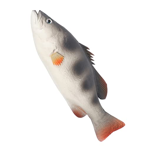 UPKOCH Dekorative Simulation Fischfigur Realistisches Fischmodell Für Schreibtischdeko Lernspielzeug Für Kreative Entwicklung Als Für Familie Und Freunde von UPKOCH