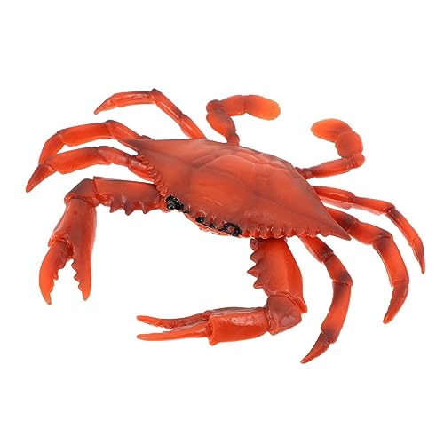 UPKOCH 1Stück Simuliertes Krabbenmodell aus Wissenschaftliches für Kreative Dekoration für Zuhause und Büro Lebendige Gestaltung für Kleine UPKOCH 1Stück Simuliertes Krabbenmodell aus Wissenschaftliches für Kreative Dekoration für Zuhause und Büro Lebendige Gestaltung für Kleine von UPKOCH
