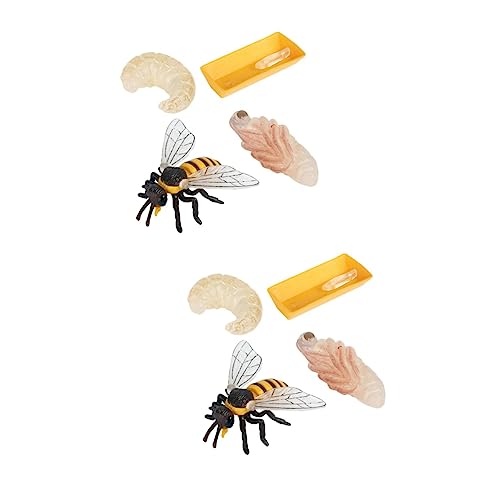 UPKOCH 2 Sätze Bienen Wachstumszyklus Kidcraft-Spielset -Kleinkind-Spielzeug kindergeburtstags mitgebsel zabawki stymulujące rozwój Kinderspielzeug Spielzeuge Biene Spielzeugmodell von UPKOCH