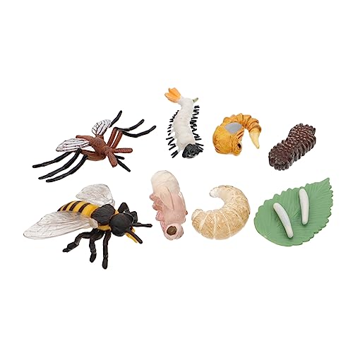 UPKOCH Realistische Insekten-lebenszyklus-Modelle Lernspielzeug Tier-wachstumszyklus-Figuren Für Kinder von UPKOCH