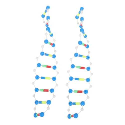 UPKOCH 2 Stück DNA Modellbausatz Doppelhelix Struktur Lehrmittel für Unterricht und Studenten Lernspielzeug für Biologie Klassenzimmer und Hochschule von UPKOCH