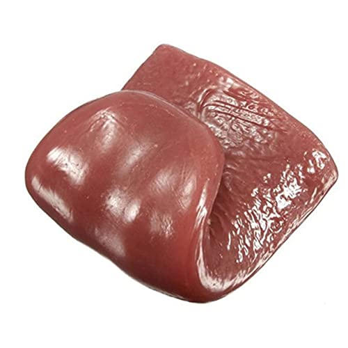 UPKOCH 2 Stück Halloween Streich lustig Piercings gefälscht funnytoys Funny Toys Fun Toy Requisiten künstlich Brown UPKOCH 2 Stück Halloween Streich lustig Piercings gefälscht funnytoys Funny Toys Fun Toy Requisiten künstlich Brown von UPKOCH