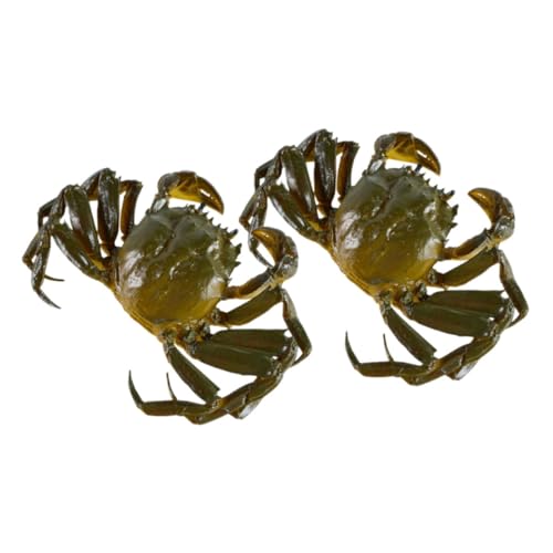 UPKOCH 2 Stück Realistisches Teiliges Krabbenmodell Langlebige Simulation Meerestier Dekoration Detailgetreue Fake Crab Figuren für Aquarium Schreibtisch und Lernspielzeug Pädagogisch und von UPKOCH
