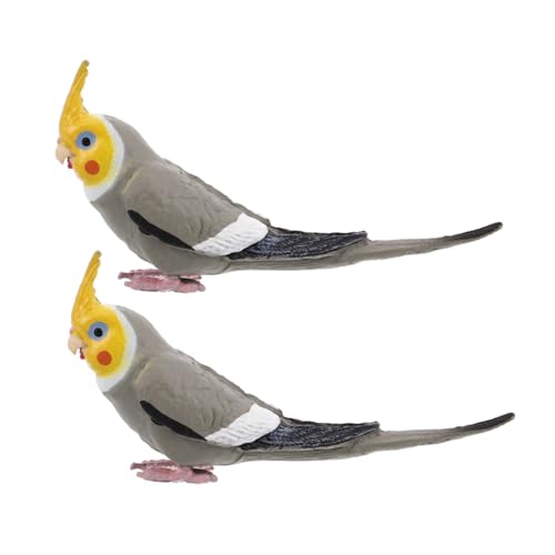 UPKOCH 2 Stück Simuliertes Papageienmodell Realistische Papageienfigur Tierfigur Spielset Für Lernspielzeug Feen Terrarium Basteln Gartenzubehör UPKOCH 2 Stück Simuliertes Papageienmodell Realistische Papageienfigur Tierfigur Spielset Für Lernspielzeug Feen Terrarium Basteln Gartenzubehör von UPKOCH