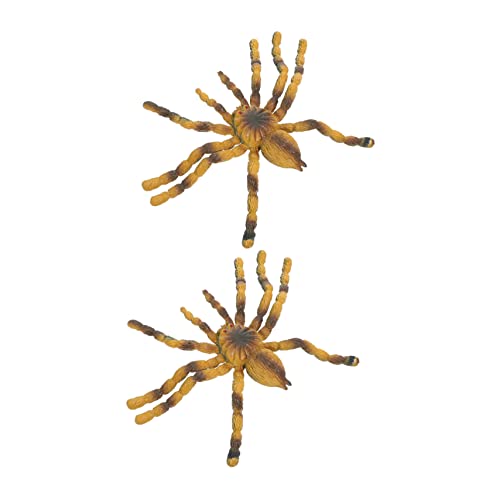 UPKOCH 2 Stück Teiliges Vogelspinnen Modell Pädagogisches Lebensechtes Insekten für Realistische Tarantula Figuren Fördert Biologische Lernfähigkeit und Naturverständnis UPKOCH 2 Stück Teiliges Vogelspinnen Modell Pädagogisches Lebensechtes Insekten für Realistische Tarantula Figuren Fördert Biologische Lernfähigkeit und Naturverständnis von UPKOCH