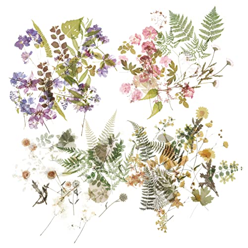 UPKOCH Scrapbooking-spaß 4 Sets Mit Vintage-pflanzenhandkonto-aufklebern Pet-Aufkleber-Set Für Buchdekorationen UPKOCH Scrapbooking-spaß 4 Sets Mit Vintage-pflanzenhandkonto-aufklebern Pet-Aufkleber-Set Für Buchdekorationen von UPKOCH