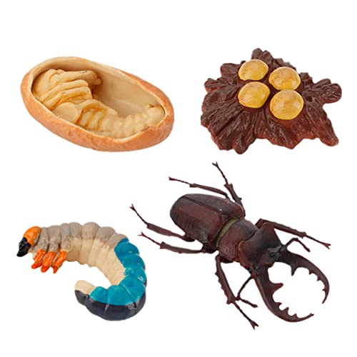 UPKOCH 4 Stück Wachstumszyklus Spielzeug Tierspielzeug Zahlen zum Lebenszyklus von Tieren Kinderspielzeug Spielzeuge Modelle tierisches Wachstumsmodell Insektendekoration Dekorationen Abs von UPKOCH