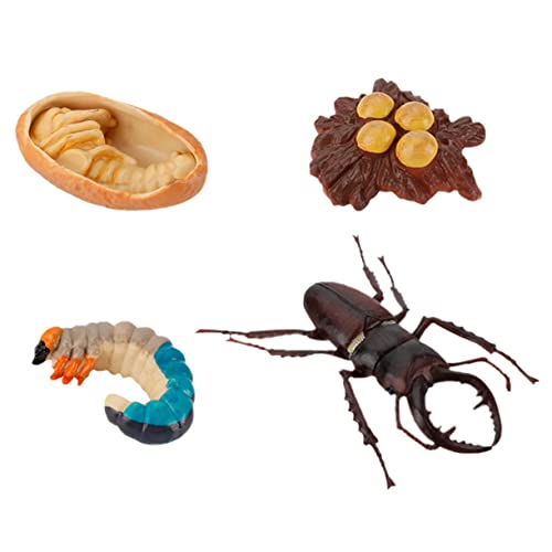 UPKOCH 4Stücke Insektenmodell Teiliges Simulations Insektenmodell für Bildungsbedarf für Lebenszyklus von Insekten für Partydeko und Lernspiele Fördert Kreativität UPKOCH 4Stücke Insektenmodell Teiliges Simulations Insektenmodell für Bildungsbedarf für Lebenszyklus von Insekten für Partydeko und Lernspiele Fördert Kreativität von UPKOCH