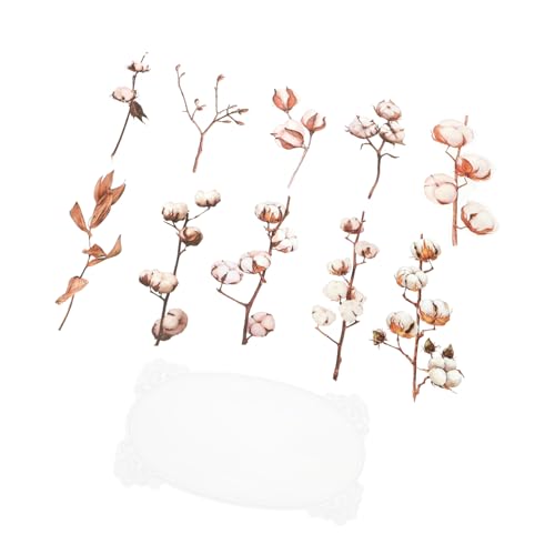 UPKOCH 5 Trägerpapier Hintergrundpapier PET-Aufkleber DIY Bastelaufkleber DIY-Aufkleber für Wasserflaschen Aufkleber für Grußkarten Bastelaufkleber zum Selbermachen das Haustier UPKOCH 5 Trägerpapier Hintergrundpapier PET-Aufkleber DIY Bastelaufkleber DIY-Aufkleber für Wasserflaschen Aufkleber für Grußkarten Bastelaufkleber zum Selbermachen das Haustier von UPKOCH
