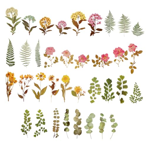UPKOCH 6 Packungen Pflanzentaschenaufkleber erweiterbare Schubladen im Freien liefert Dekoration Scrapbook Stickers Scrapbooking Sticker Scrapbook-Aufkleber Blumenaufkleber das Haustier von UPKOCH
