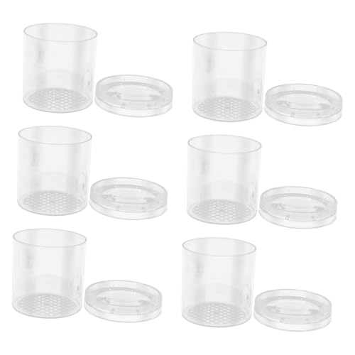 UPKOCH 6 Stück Teiliges Insekten Beobachtungsset Fach Lupe Transparenter Sammelbecher mit Messraster Sicherer Kunststoff für Naturerkundung und Biologie Lernspielzeug UPKOCH 6 Stück Teiliges Insekten Beobachtungsset Fach Lupe Transparenter Sammelbecher mit Messraster Sicherer Kunststoff für Naturerkundung und Biologie Lernspielzeug von UPKOCH