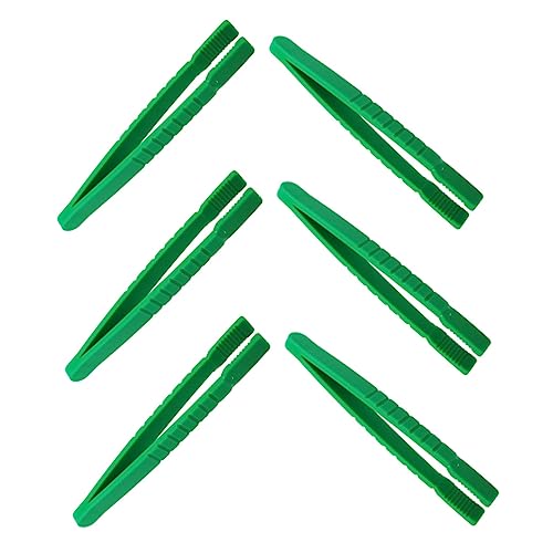 UPKOCH Pinzetten-Set Für Kinder 6-teilig Flache Pinzette Zum Basteln Insektensammeln Und Für Pädagogisches Spielen von UPKOCH