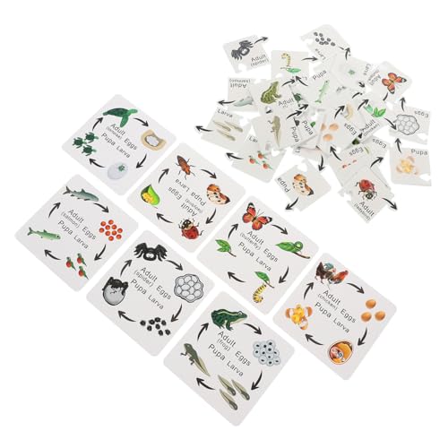 UPKOCH 7 Sätze Kognitive Insektenspielzeuge Puzzle- Lernrätsel Im Vorschulalter Bildungsspielzeug Puzzlematte Puzzlekleber Lustiges Holzpuzzle Tierlebenszyklus Hölzern UPKOCH 7 Sätze Kognitive Insektenspielzeuge Puzzle- Lernrätsel Im Vorschulalter Bildungsspielzeug Puzzlematte Puzzlekleber Lustiges Holzpuzzle Tierlebenszyklus Hölzern von UPKOCH