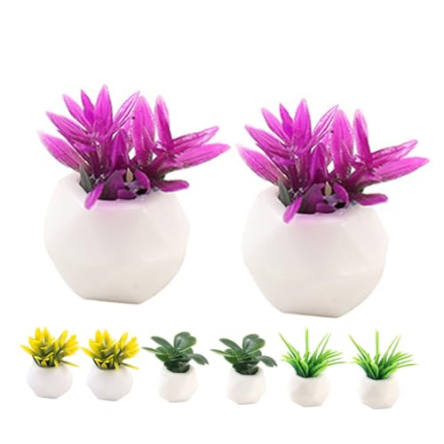UPKOCH 8 Stück Miniaturpflanzen Teiliges Bonsai Modell für Puppenhaus Dekoration Lebendige Bonsai Pflanzen für Miniaturgarten und Mikro Landschaft für Realistische Gestaltung UPKOCH 8 Stück Miniaturpflanzen Teiliges Bonsai Modell für Puppenhaus Dekoration Lebendige Bonsai Pflanzen für Miniaturgarten und Mikro Landschaft für Realistische Gestaltung von UPKOCH