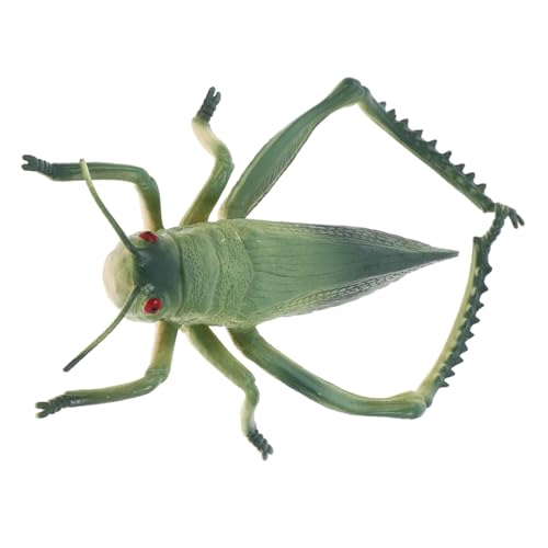 UPKOCH Ameisenmodell aus Kunststoff Insekten lernspielzeug Kunststoffgrashüpfer Naturgetreues Insektenspielzeug Zikadenspielzeug realistisches insektenspielzeug PVC Green von UPKOCH