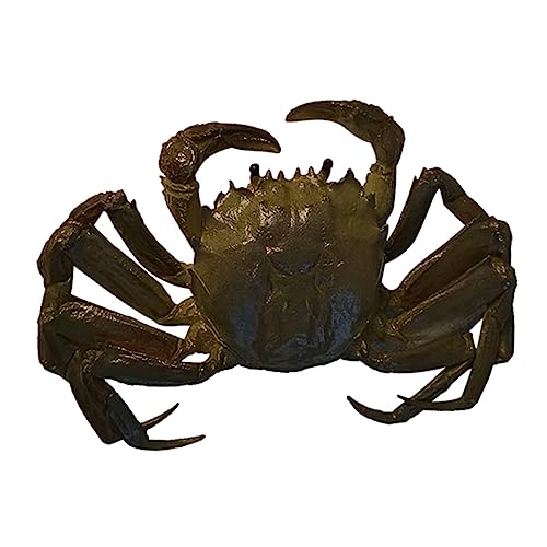 UPKOCH Gefälschte Krabbe Lernspielzeug Krabbenspielzeug Simulation Krabbe Lustiges Früherziehungsspielzeug Meerestierspielzeug Lernkrabbe Meereskrabbenmodell Entzückendes von UPKOCH
