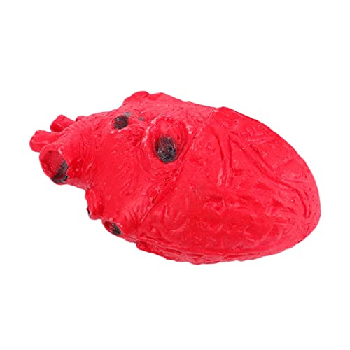 UPKOCH Halloween Fake Heart Requisit Gruselige Herz Dekoration Für Haunted Houses Party Events Und Horror Themen Perfekt Für Halloween Feiern Und Kostümpartys UPKOCH Halloween Fake Heart Requisit Gruselige Herz Dekoration Für Haunted Houses Party Events Und Horror Themen Perfekt Für Halloween Feiern Und Kostümpartys von UPKOCH