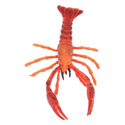 UPKOCH Hummer Modell Realistisches Hummer Dekorationsmodell Für Desktop Ornament Für Lernspielzeug Und Aquarien Deko von UPKOCH