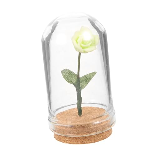 UPKOCH Konservierte Blumendekoration Garten Kleine Hausdekoration Winzige Dinge Miniatur Kuppelblume Miniaturblume Künstliche Miniblume In Kuppel Kleines Hauszubehör Ewige Blume von UPKOCH