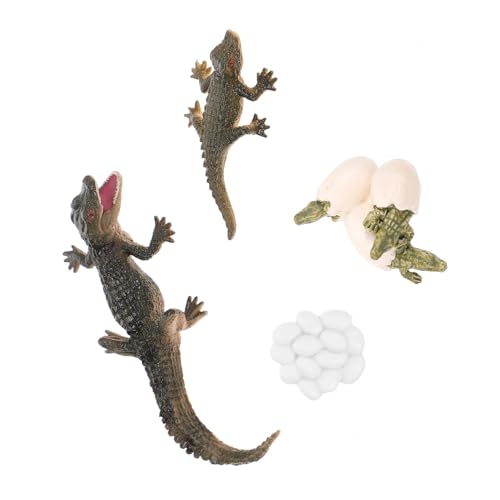 UPKOCH Lebenszyklus Krokodil Modellspielzeug Teiliges Pädagogisches Tier Wachstumszyklus Lernspielzeug für Kreativität und Konzentration von UPKOCH