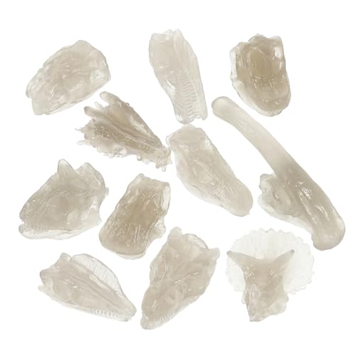 UPKOCH Leuchtendes Dinosaurier Schädel Modell PVC Fossil Figur Lernspielzeug Kompaktes Tragbares Dino Ausgrabungsset Pädagogisches für Jungen und Mädchen Realistische Nachbildung von UPKOCH