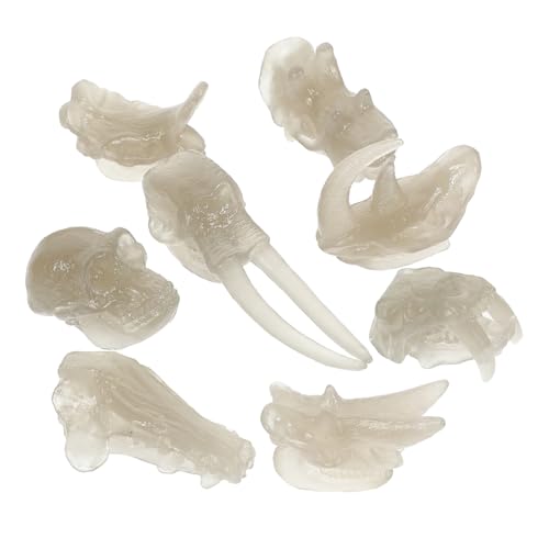 UPKOCH Luminöses Dinosaurier Schädel Modell Teilig Leuchtend im Dunkeln Pädagogisches Fossilspielzeug für Kreatives und Dekoratives Schreibtischornament UPKOCH Luminöses Dinosaurier Schädel Modell Teilig Leuchtend im Dunkeln Pädagogisches Fossilspielzeug für Kreatives und Dekoratives Schreibtischornament von UPKOCH
