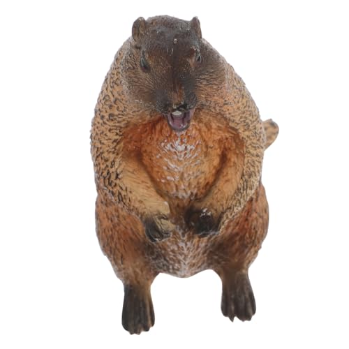 UPKOCH Murmeltier Modell Babyspielzeug Tiermodellierung Gefälschtes Murmeltier Kleine Tierfigur Lustiges Murmeltier Tierfigur Foto Requisite Gefälschte Tierdekoration UPKOCH Murmeltier Modell Babyspielzeug Tiermodellierung Gefälschtes Murmeltier Kleine Tierfigur Lustiges Murmeltier Tierfigur Foto Requisite Gefälschte Tierdekoration von UPKOCH