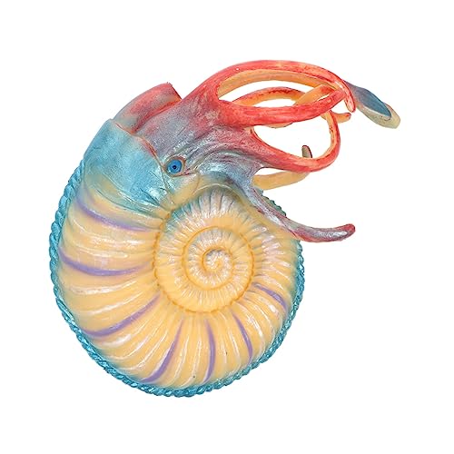 UPKOCH Plastic Nautilus Modell Realistische Nachbildung Eines Meeresbewohners Geeignet Als Lernspielzeug Oder Dekoration Für Aquarien Aus Hochwertigem Gefertigt von UPKOCH
