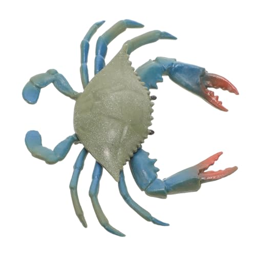 UPKOCH Realistisches Krabbenmodell Künstliche Dekoration für Aquarien Lernspielzeug Langlebig und Detailgetreu für Tischdekoration Küche und Hotel von UPKOCH
