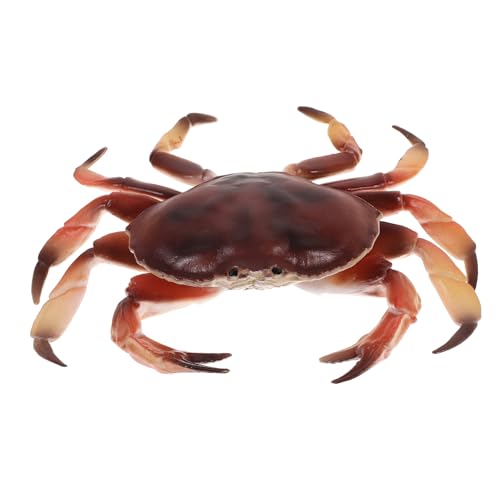 UPKOCH Realistisches Krabbenmodell aus Kunststoff Simulation Tierfigur Deko für Kinderzimmer Garten und Pädagogisches Lernen Leicht und Detailgetreu UPKOCH Realistisches Krabbenmodell aus Kunststoff Simulation Tierfigur Deko für Kinderzimmer Garten und Pädagogisches Lernen Leicht und Detailgetreu von UPKOCH