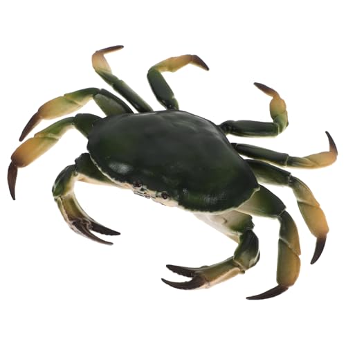 UPKOCH Realistisches Krabbenmodell aus Langlebigem Kunststoff Detailgetreues Simulations Tiermodell für Pädagogisches und Aquarium Deko Lebensechte Krabbenfigur für Kinderzimmer und von UPKOCH
