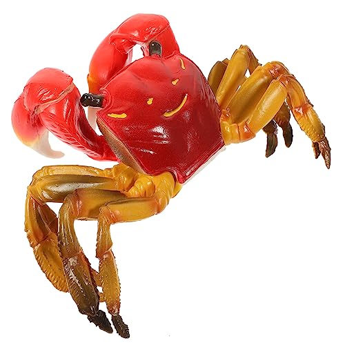 UPKOCH Realistisches Künstliches Haarige Krabbenmodell Lernspielzeug für Pädagogisches Simulation Meerestier Spielset Motorik und Kognitiven Fähigkeiten UPKOCH Realistisches Künstliches Haarige Krabbenmodell Lernspielzeug für Pädagogisches Simulation Meerestier Spielset Motorik und Kognitiven Fähigkeiten von UPKOCH