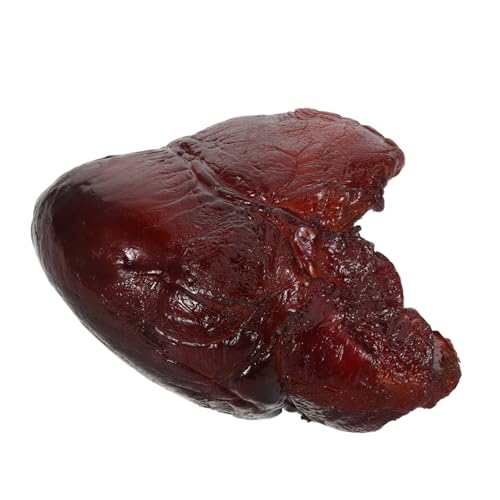 UPKOCH Realistisches Schweineherz Modell Detaillierte Künstliche Lebensmitteldekoration Langlebig Vielseitig für Restaurant Küchendekor Schaufenster Fake Meat Prop UPKOCH Realistisches Schweineherz Modell Detaillierte Künstliche Lebensmitteldekoration Langlebig Vielseitig für Restaurant Küchendekor Schaufenster Fake Meat Prop von UPKOCH
