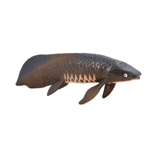UPKOCH Realistisches Simulation Fischmodell aus Kunststoff Lebensechte Meeresbewohner Figur für Pädagogisches Tiermodell Dekoratives und Sammlerstück Kompakt und Robust UPKOCH Realistisches Simulation Fischmodell aus Kunststoff Lebensechte Meeresbewohner Figur für Pädagogisches Tiermodell Dekoratives und Sammlerstück Kompakt und Robust von UPKOCH