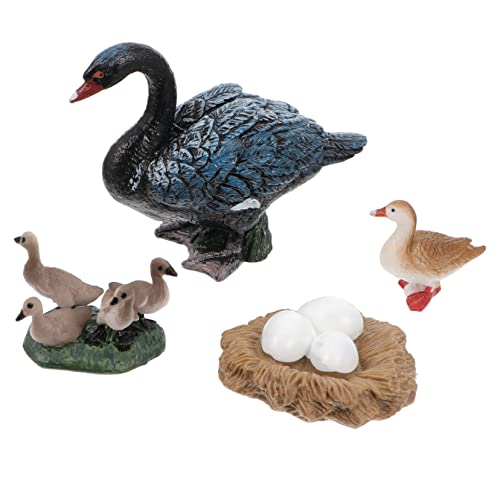 UPKOCH Realistisches Teiliges Schwarzer Wachstumszyklus Modellset Pädagogisches Kinderspielzeug für Frühe Entwicklung Detailgetreue Wachstumszyklus Figuren Lehrreiches Display UPKOCH Realistisches Teiliges Schwarzer Wachstumszyklus Modellset Pädagogisches Kinderspielzeug für Frühe Entwicklung Detailgetreue Wachstumszyklus Figuren Lehrreiches Display von UPKOCH
