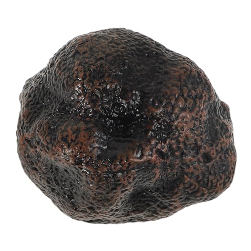 UPKOCH Schwarze Trüffel Modell Simulation Lebensmittel Simulation Küche Küche Mini Simulation Küchengeräte Für Kunststoff von UPKOCH