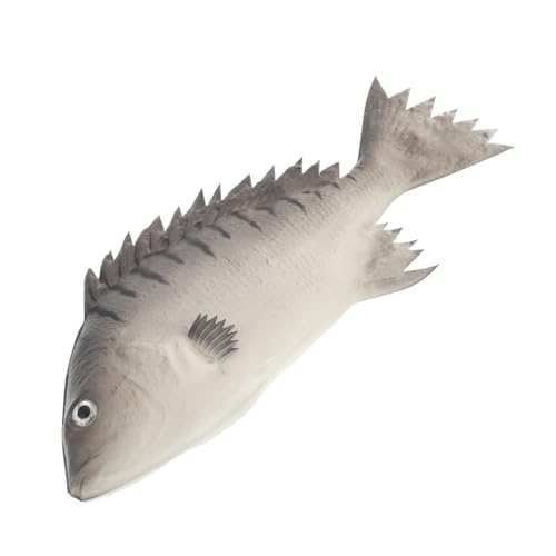 UPKOCH Simulation Fisch Figuren Realistische Pu Fischmodelle Für Junge Mädchen Dekoration Und Fotografie Multifunktionale Fische Als Partygeschenke Und Lernspielzeug Für Aquarien UPKOCH Simulation Fisch Figuren Realistische Pu Fischmodelle Für Junge Mädchen Dekoration Und Fotografie Multifunktionale Fische Als Partygeschenke Und Lernspielzeug Für Aquarien von UPKOCH