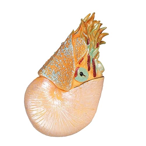 UPKOCH Nautilus Modell Realistisches Kunstwerk Aus Kunststoff Für Aquarien Lernspielzeug Für Dekoration Zuhause Garten Und Hotels von UPKOCH