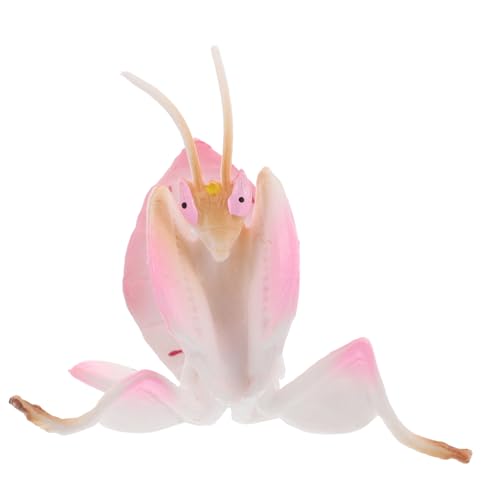 UPKOCH Kunststoff Insektenmodell Realistische Gebetmantis Figur Für Junge Mädchen Lehrspielzeug Wissen Über Tiere Für Dekoration Und Kreative Spielsz Szenarien UPKOCH Kunststoff Insektenmodell Realistische Gebetmantis Figur Für Junge Mädchen Lehrspielzeug Wissen Über Tiere Für Dekoration Und Kreative Spielsz Szenarien von UPKOCH