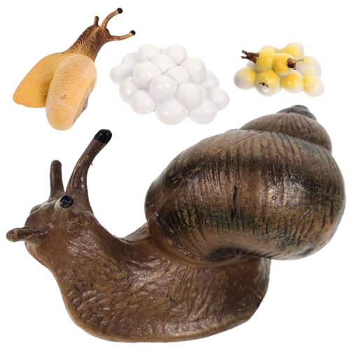 UPKOCH Teiliges Schneckenwachstumszyklus Modellset aus Leichtem PVC Realistische Nachbildung der Schneckenentwicklung Pädagogisches Lernspielzeug für Natur und Biologieerfahrung UPKOCH Teiliges Schneckenwachstumszyklus Modellset aus Leichtem PVC Realistische Nachbildung der Schneckenentwicklung Pädagogisches Lernspielzeug für Natur und Biologieerfahrung von UPKOCH