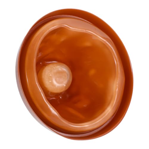 UPKOCH Mini-Vulkan-Set Für Jungen Und Mädchen Vulkan-Set Eruptionen Requisite Für Wissenschaftliche Experimente Für Kleinkinder UPKOCH Mini-Vulkan-Set Für Jungen Und Mädchen Vulkan-Set Eruptionen Requisite Für Wissenschaftliche Experimente Für Kleinkinder von UPKOCH