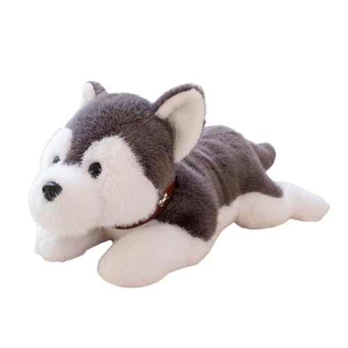 URFDCAD Realistische Plüsch Hund, Husky Stofftier Hund Lebensecht Hund Plüschtier Püppchen Simulation Tier Puppe Plüsch Hunde Simulation Spielzeug Plüschtiere Welpen Kissen Geschenke für Kinder URFDCAD Realistische Plüsch Hund, Husky Stofftier Hund Lebensecht Hund Plüschtier Püppchen Simulation Tier Puppe Plüsch Hunde Simulation Spielzeug Plüschtiere Welpen Kissen Geschenke für Kinder von URFDCAD