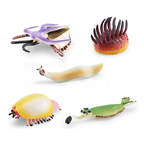 6 Stück Ozean Meer Tiere Figuren,Meerestiere Trilobit MARR Modell Set,Realistische Anemone Koralle Meer Kreatur Figur Spielzeug,Kunststoff Unterwasser Meer Tiere Lernspielzeug für Jungen Mädchen von URFEDA