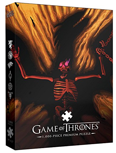 USAopoly Game of Thrones Premium Puzzle Dracarys Puzzles von USAopoly