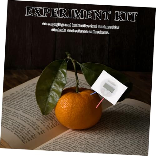 UTHCLO DIY Obstbatterie Experimentierset für Sicheres Physik Wissenschaftskit mit Kupfer elektroden Vielseitig Einsetzbar für Unterricht Zuhause Kreativität und Innovative Lernspiele von UTHCLO