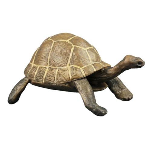 UTHCLO Schildkrötenmodell Realistische Desktop Deko Kunststoff Landschildkröte Figur Lernspielzeug für Geburtstagsfeier Party Dekoration UTHCLO Schildkrötenmodell Realistische Desktop Deko Kunststoff Landschildkröte Figur Lernspielzeug für Geburtstagsfeier Party Dekoration von UTHCLO