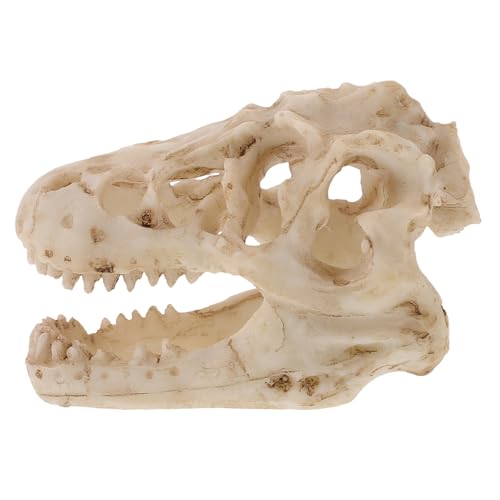 UTHCLO Simuliertes Dinosaurier Schädelmodell aus Detailliertes Lehrmittel und Dekoratives Terrarien Zubehör Kleines Tyrannosaurus Modell für Büro und Sammlungsdisplay für Dino von UTHCLO