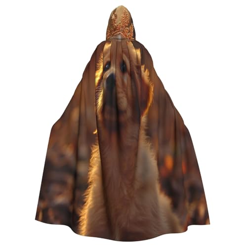 UYHhgqw Ein Hund unter dem Sonnenuntergang Halloween Hexenkostüm Herren Damen Kapuzenumhang Horror Horror Halloween Kostüm Cosplay Kostüm von UYHhgqw